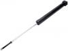 Amortisseur Shock Absorber:55310-1C200