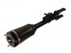 减振器 Shock Absorber:164 320 43 13